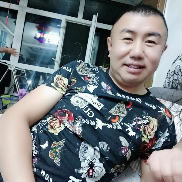 大雁有大气的照片