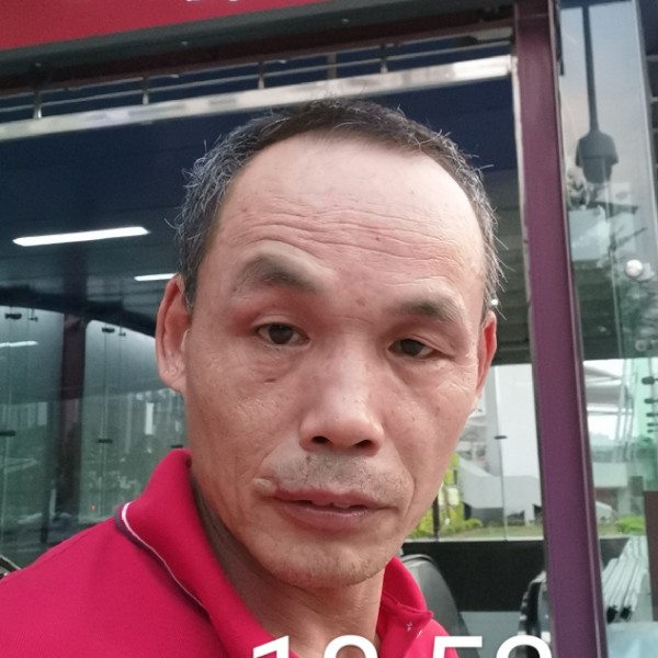 河马向甜蜜的照片