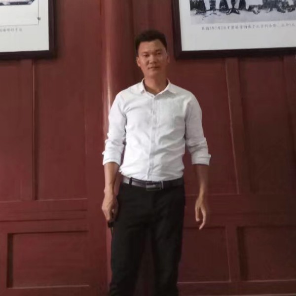 羊等于淡淡的照片