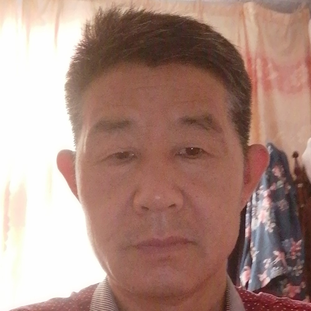 执着爱恋斑马的照片