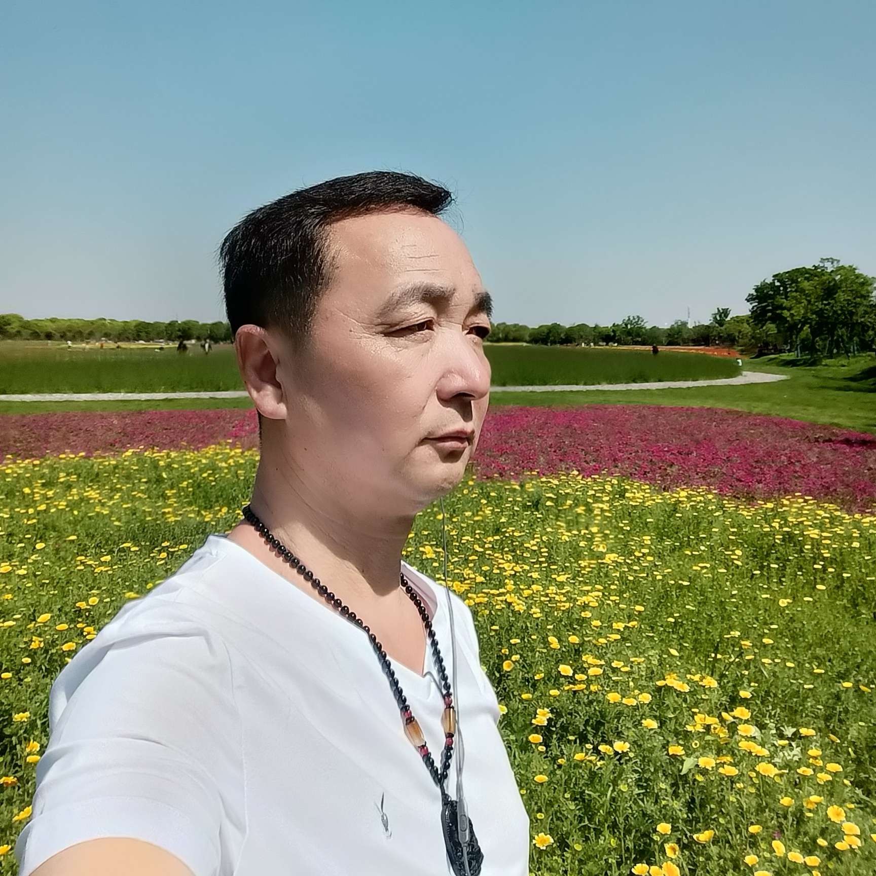帽子还彩色的照片