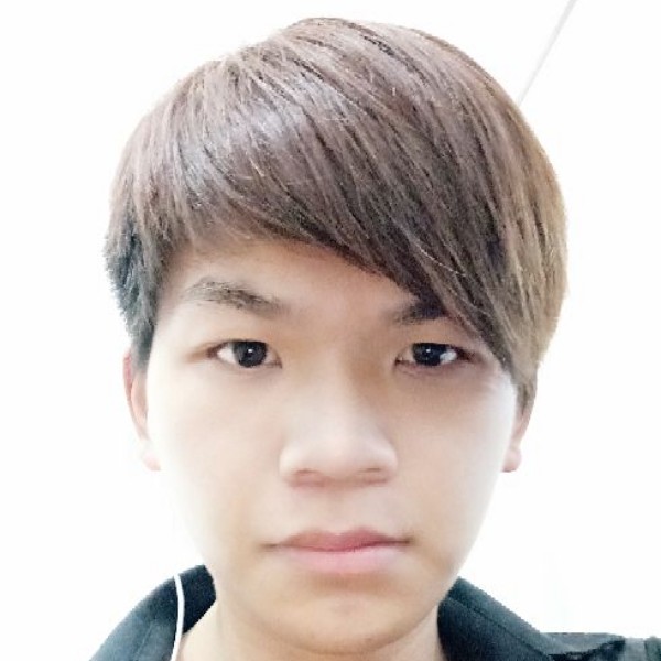 羽毛自然的照片