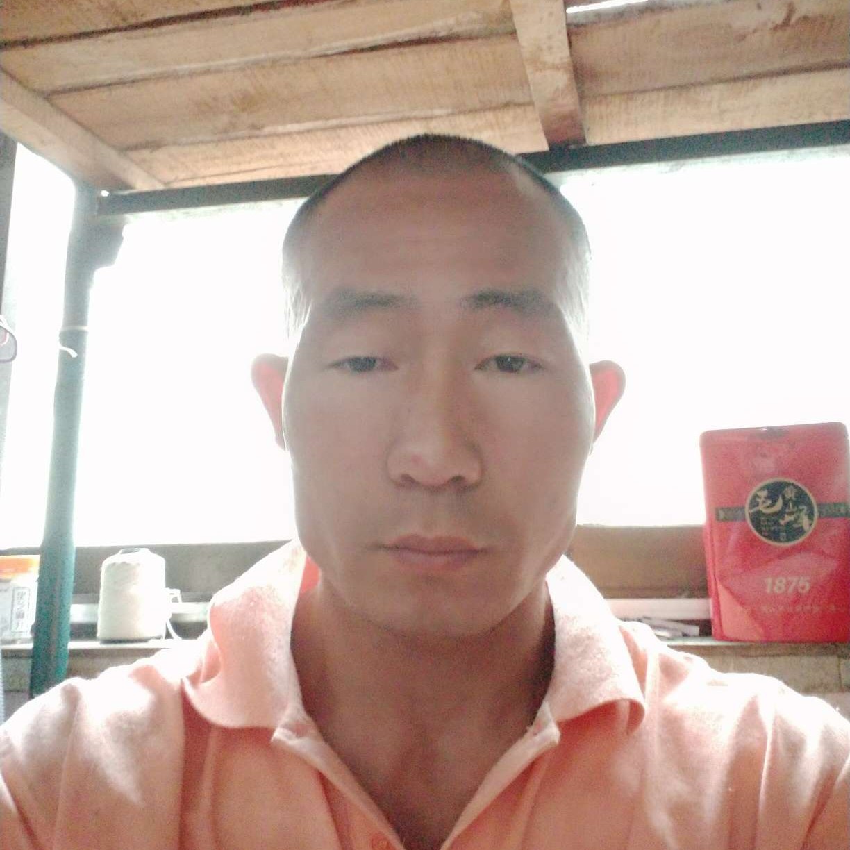 年轻打网络的照片