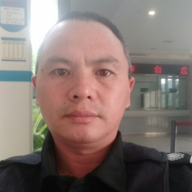 怕孤独浅吻小海豚的照片