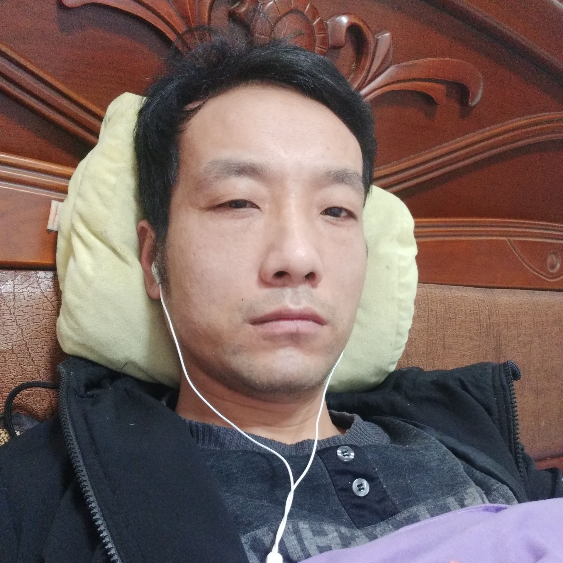 向日葵细心严龙的照片