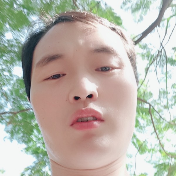星月打深情的照片