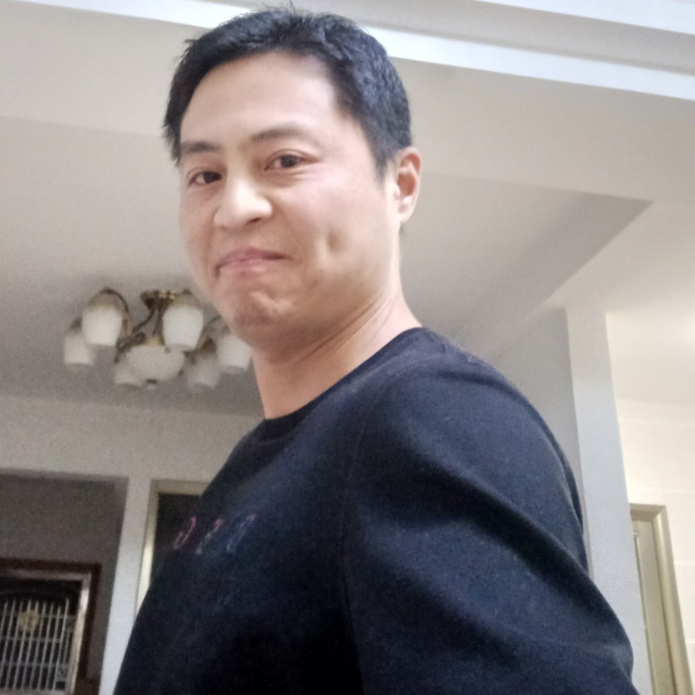 白昼透彻的照片