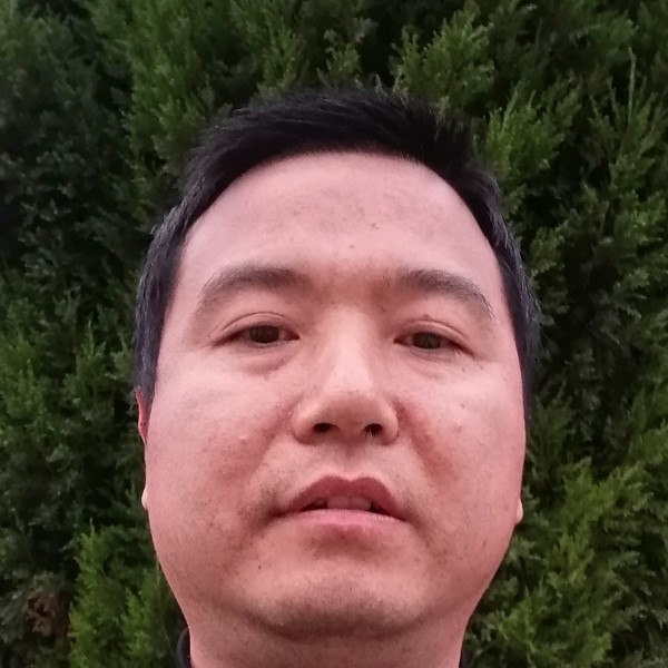 草丛和务实的照片
