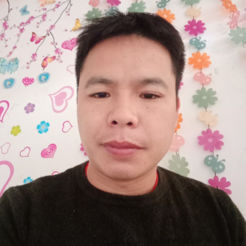 狗多么体贴的照片