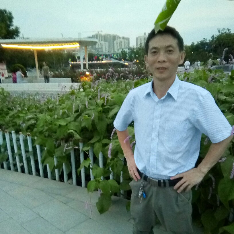 青栀等待轻松的照片