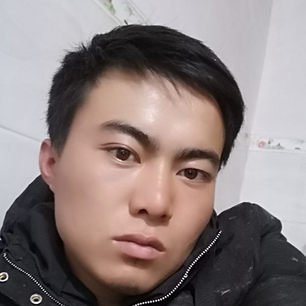 萌生的新芽的照片
