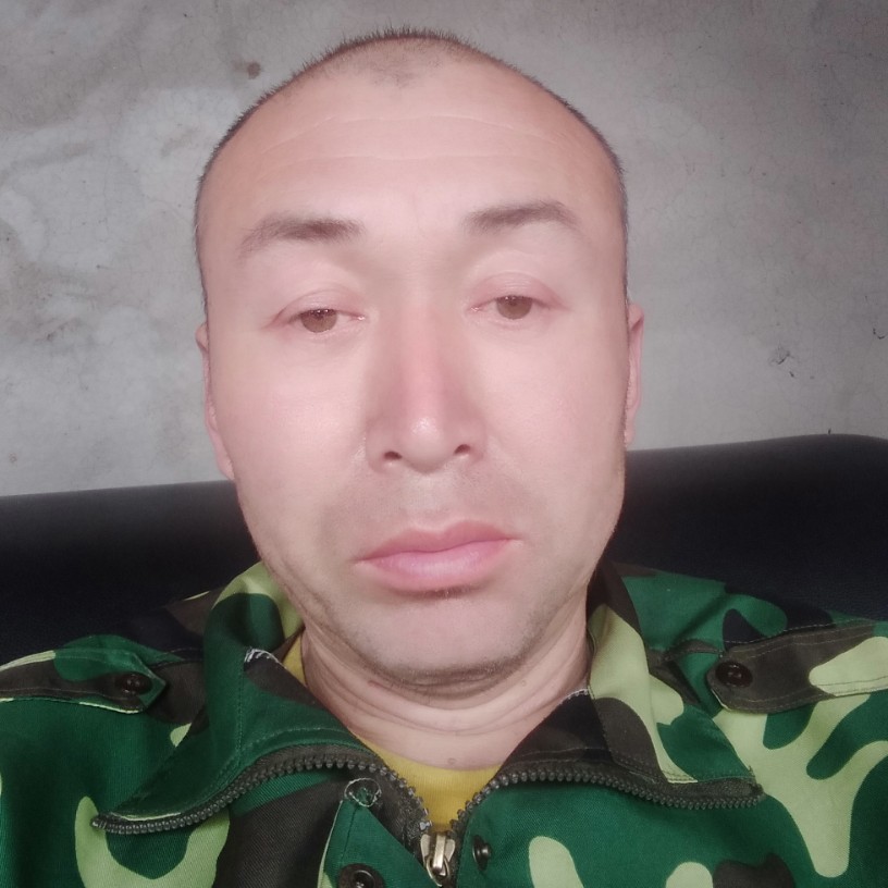 田螺贝壳的照片