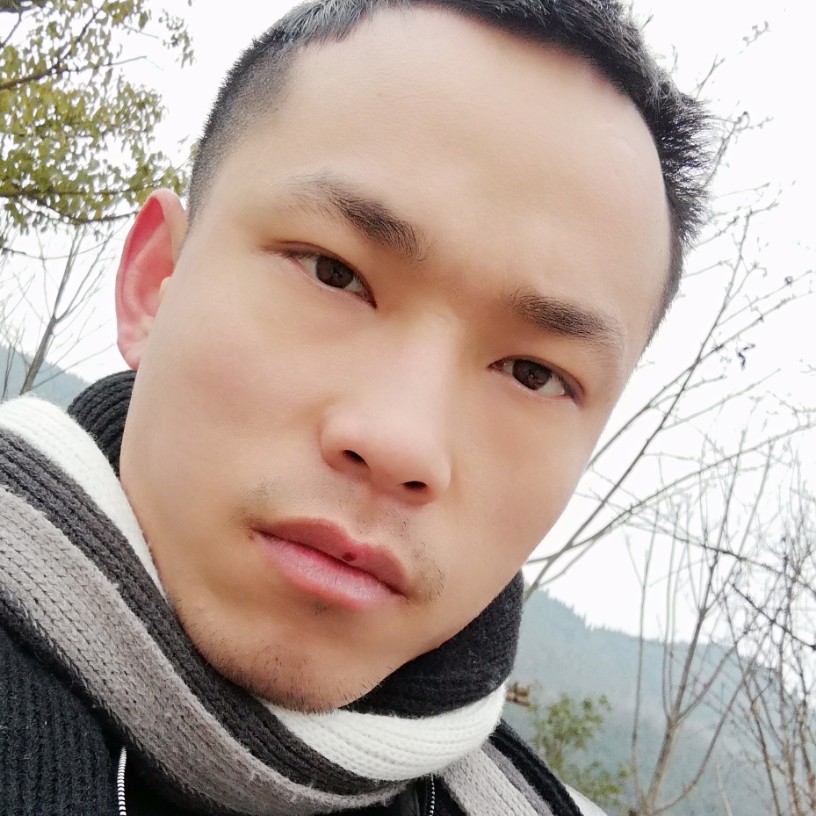 米红康乃馨的照片