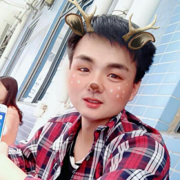 枫叶漫步缓慢的照片