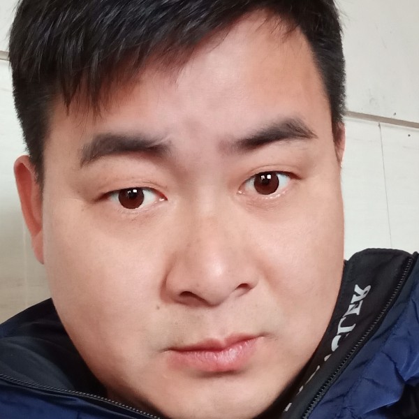 朴素枫叶2的照片