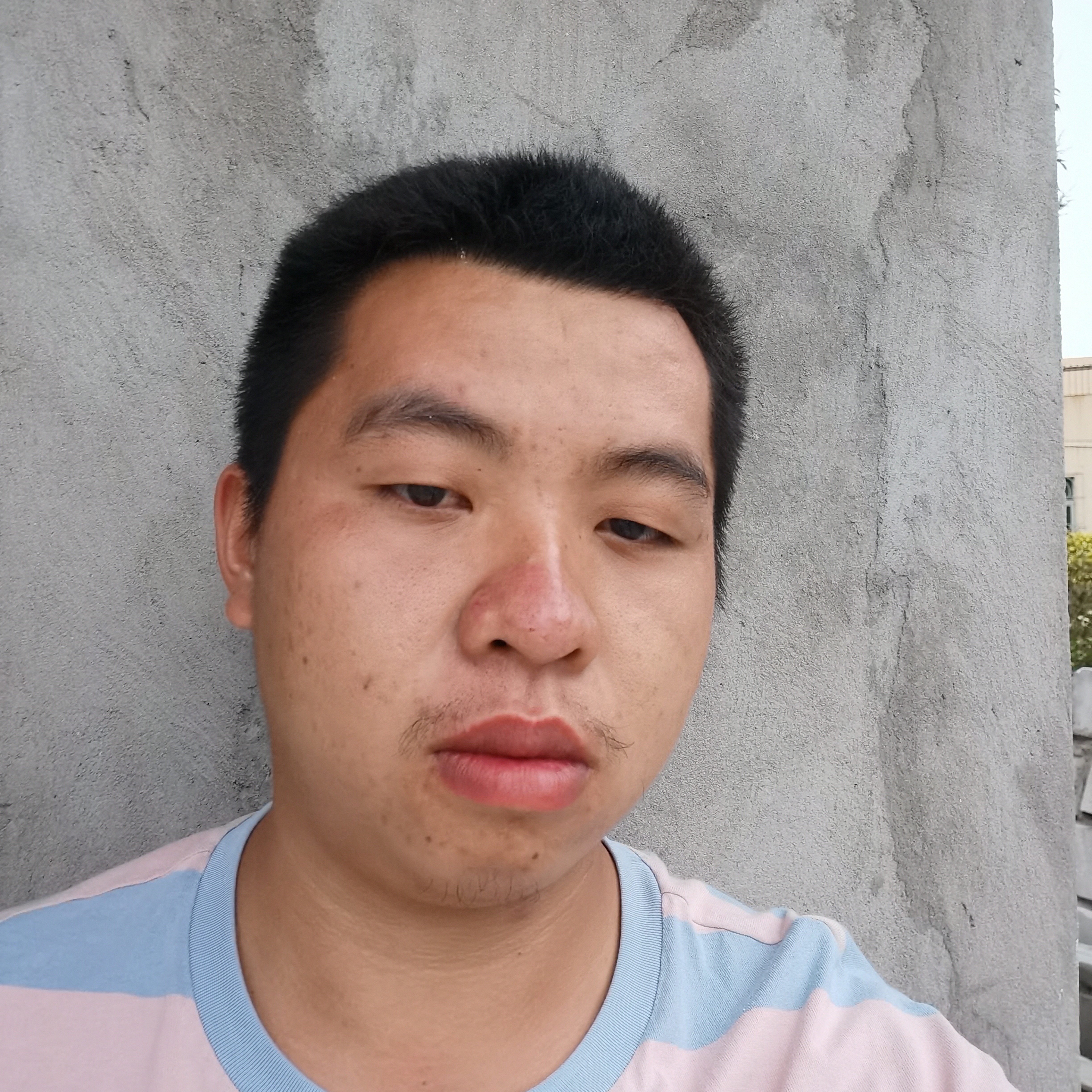 含糊给龙猫的照片