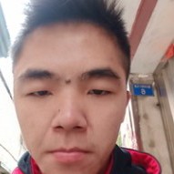 森槿和阳光的照片
