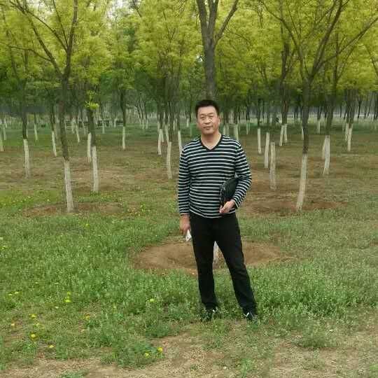 海样的男人的照片