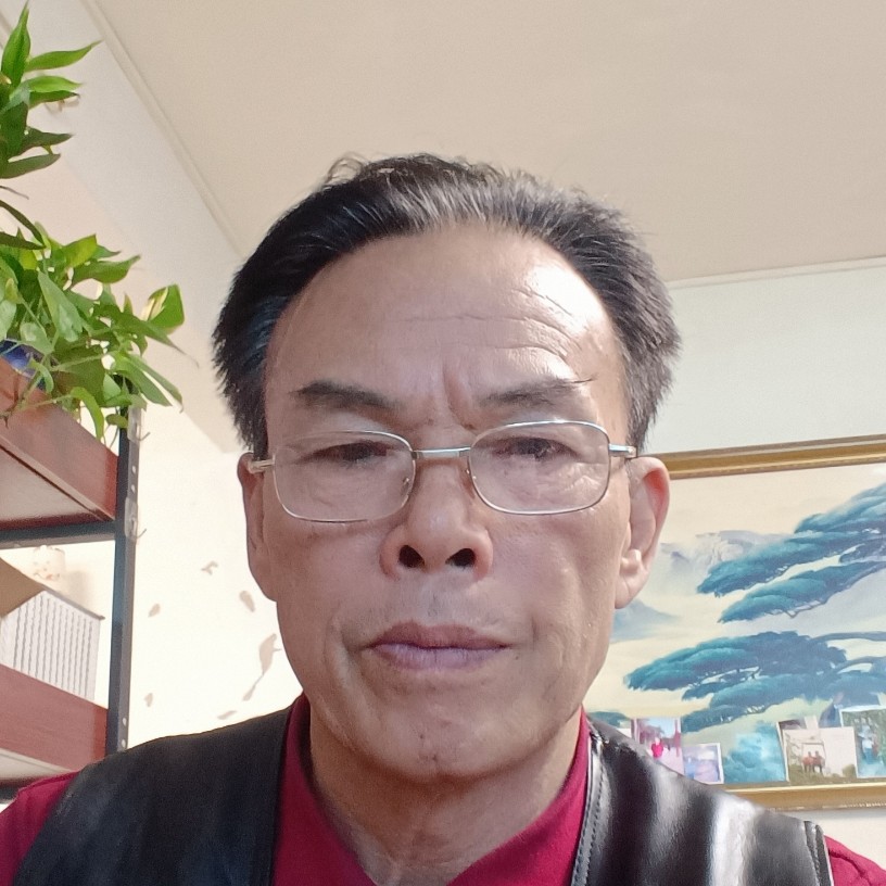 快乐人生叶的照片