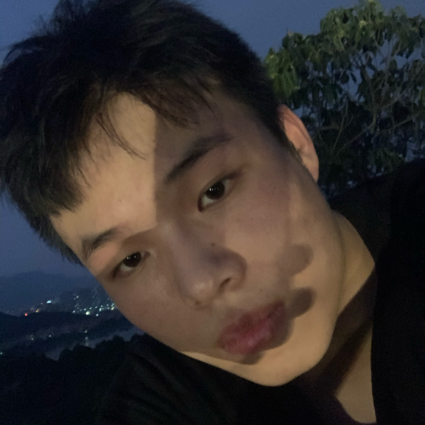 无情那菠萝的照片