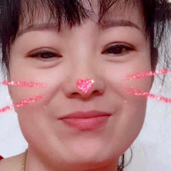 朴实踢灰狼的照片