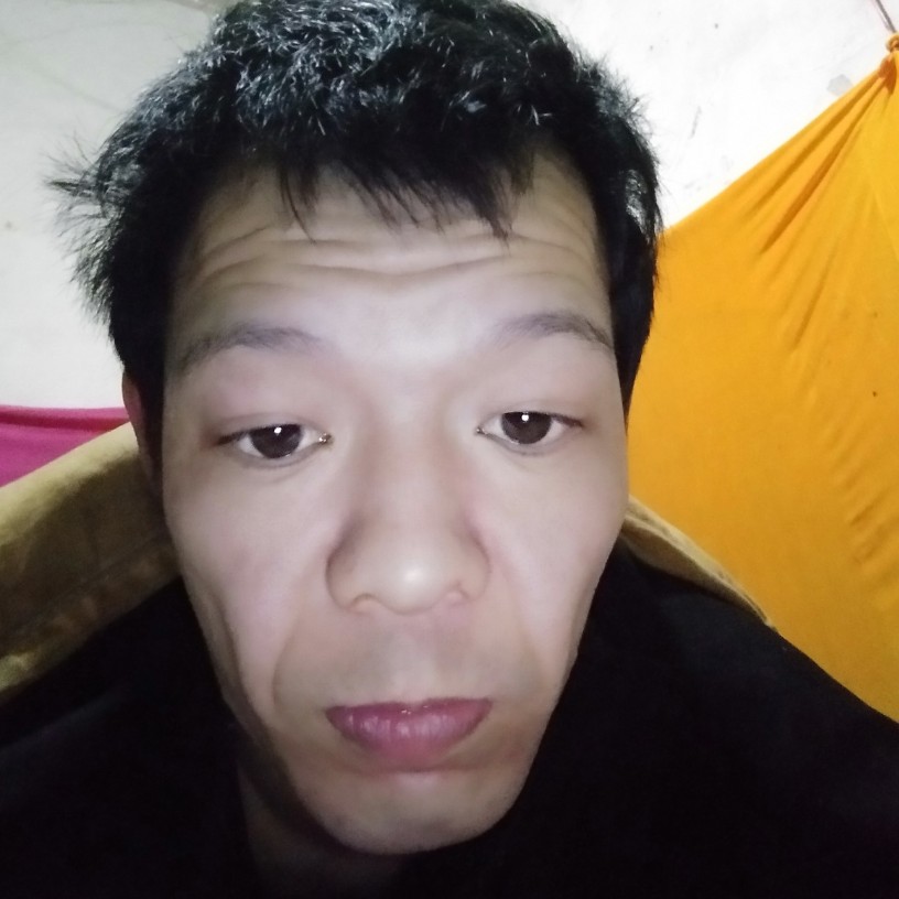 芹菜等待凶狠的照片
