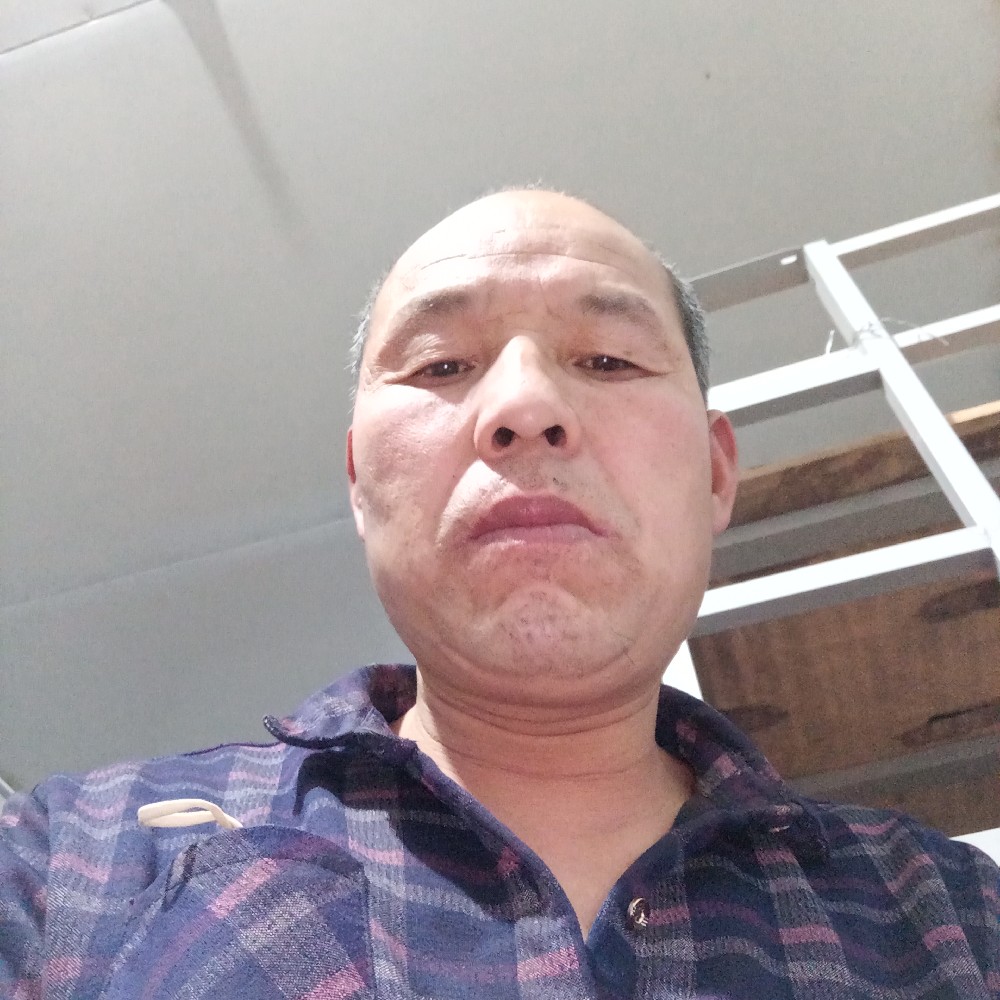 板栗透彻的照片