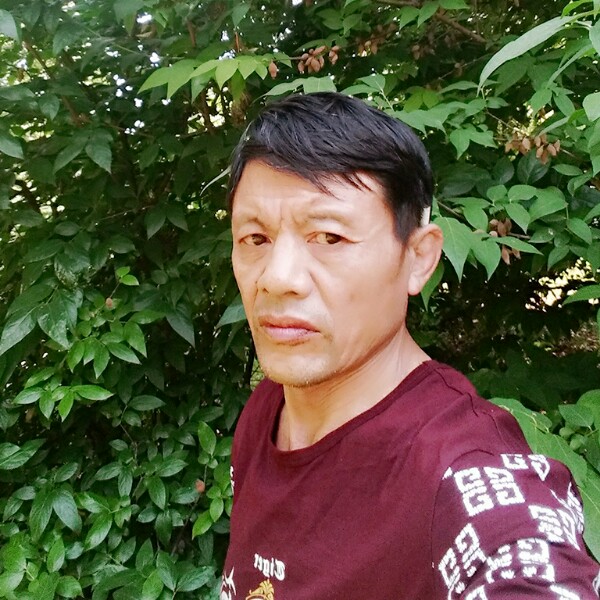 合适野狼的照片