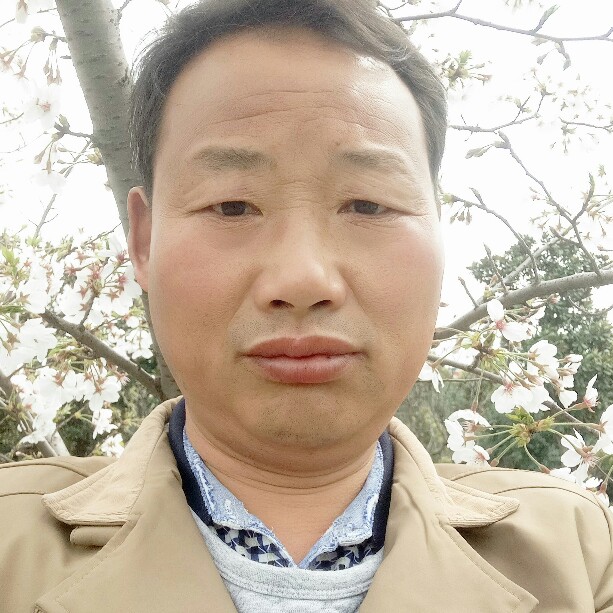 我每天都在想你的照片