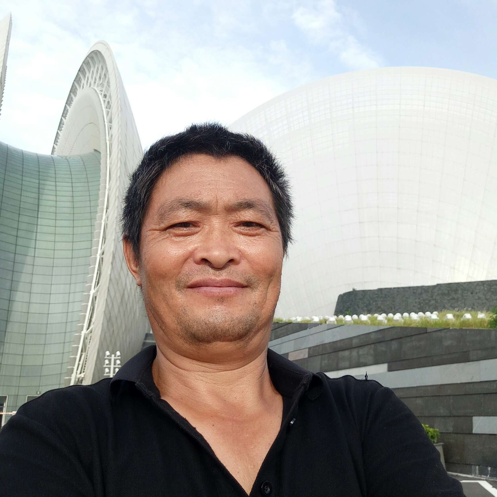 猫咪就无语的照片