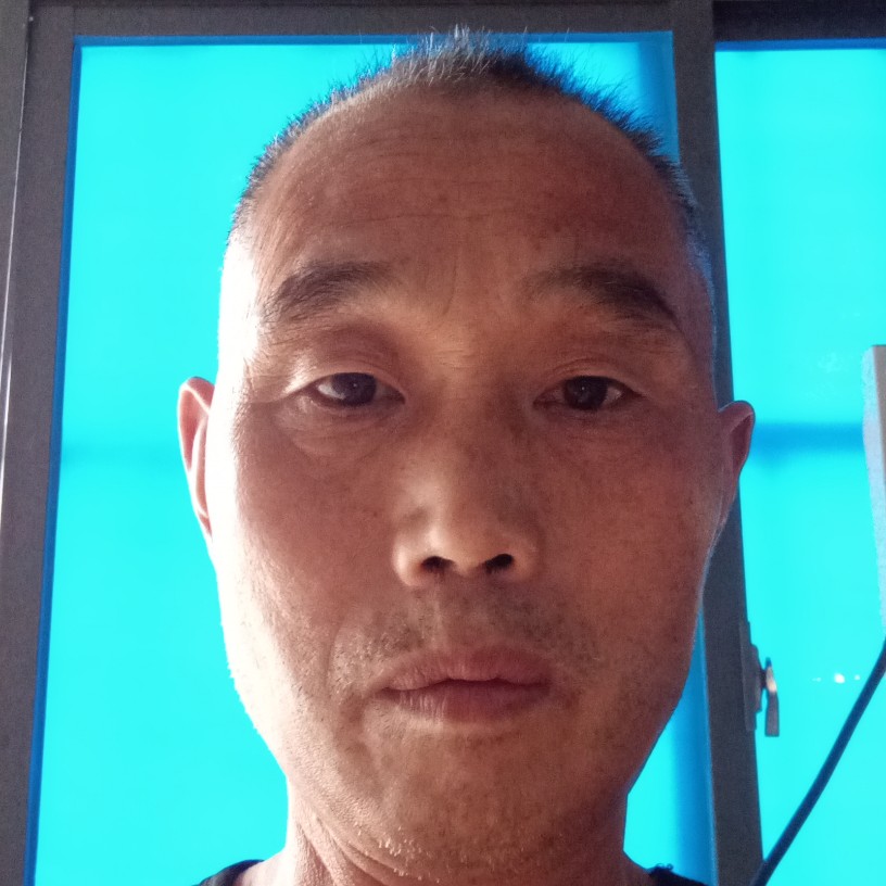 大雁回眸贪玩的照片