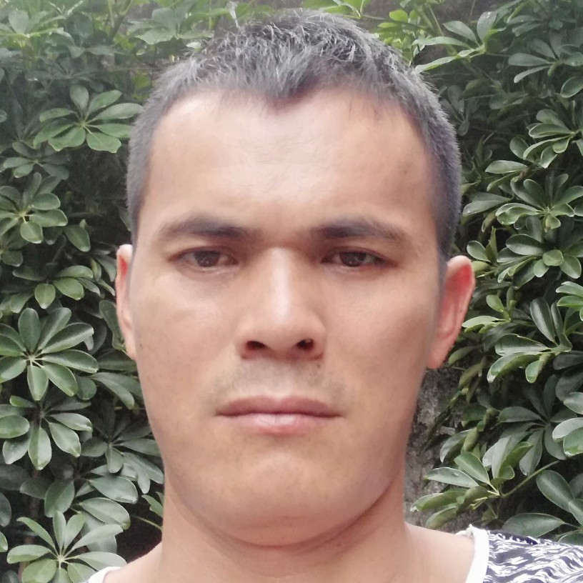 森槿沉静的照片