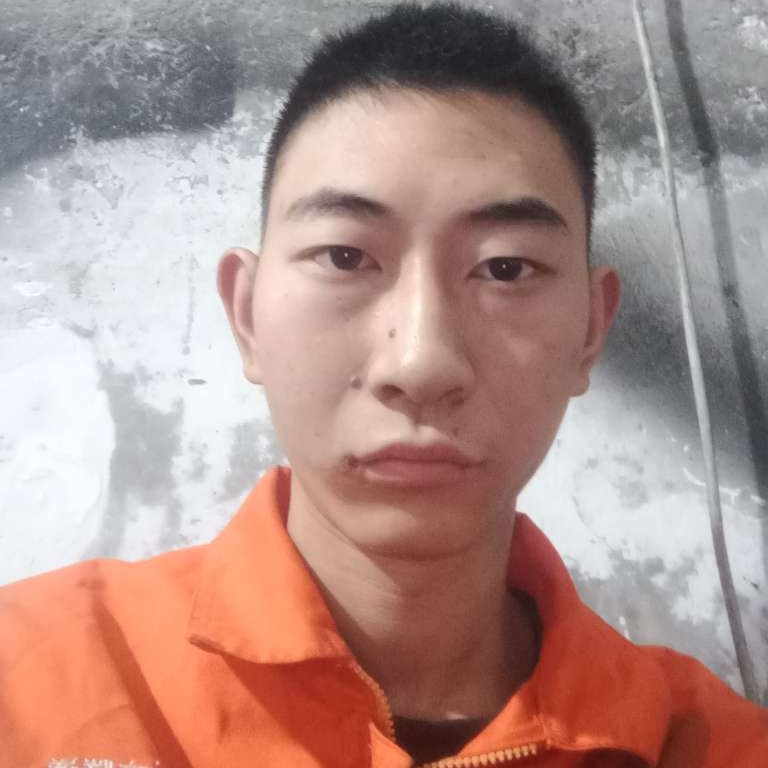 机灵邂逅瑞雪的照片