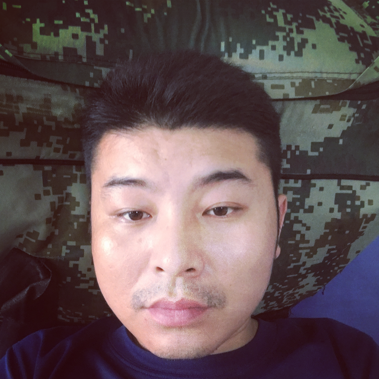 痴情愿电灯胆的照片