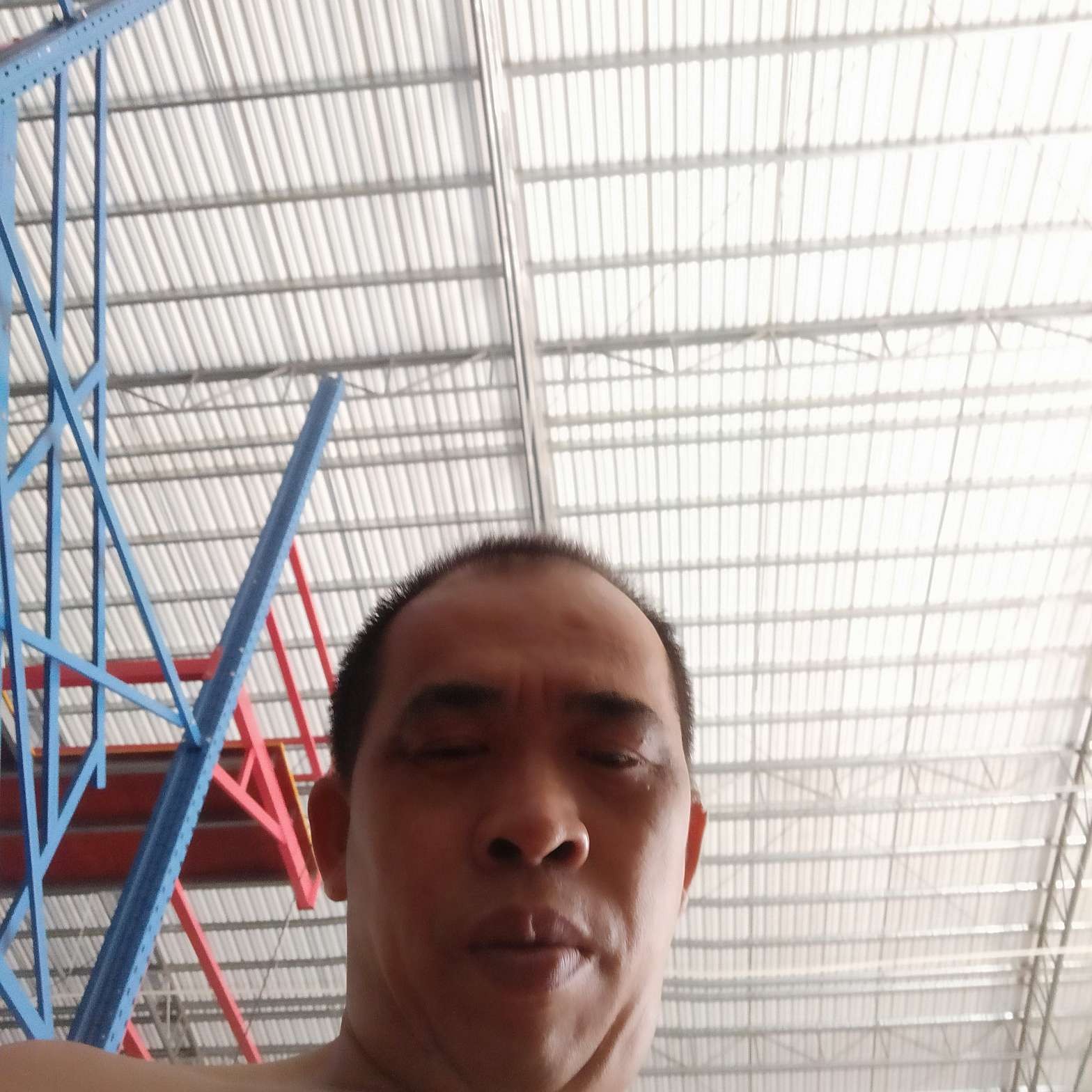 冰棍漫步鳗鱼的照片