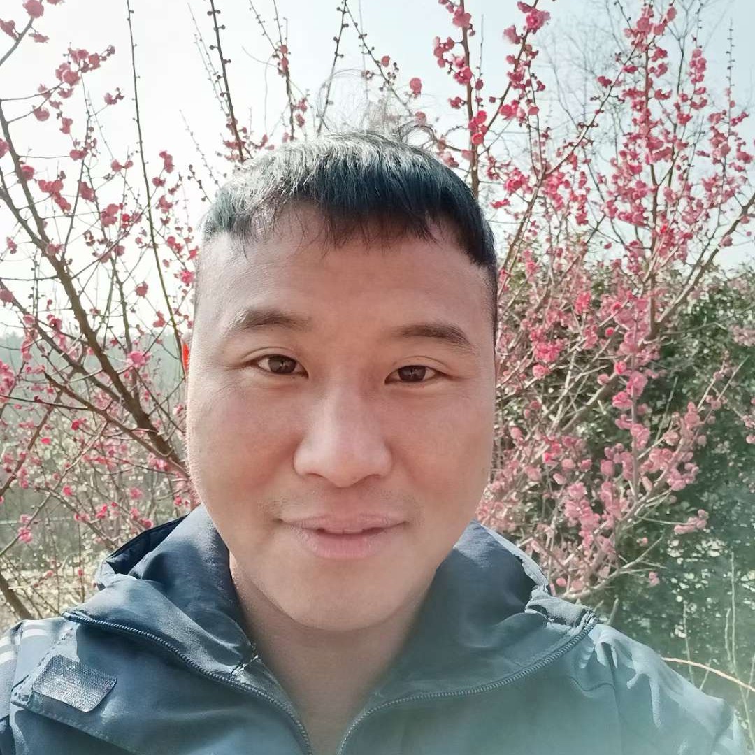 无限拾忆乌龟的照片