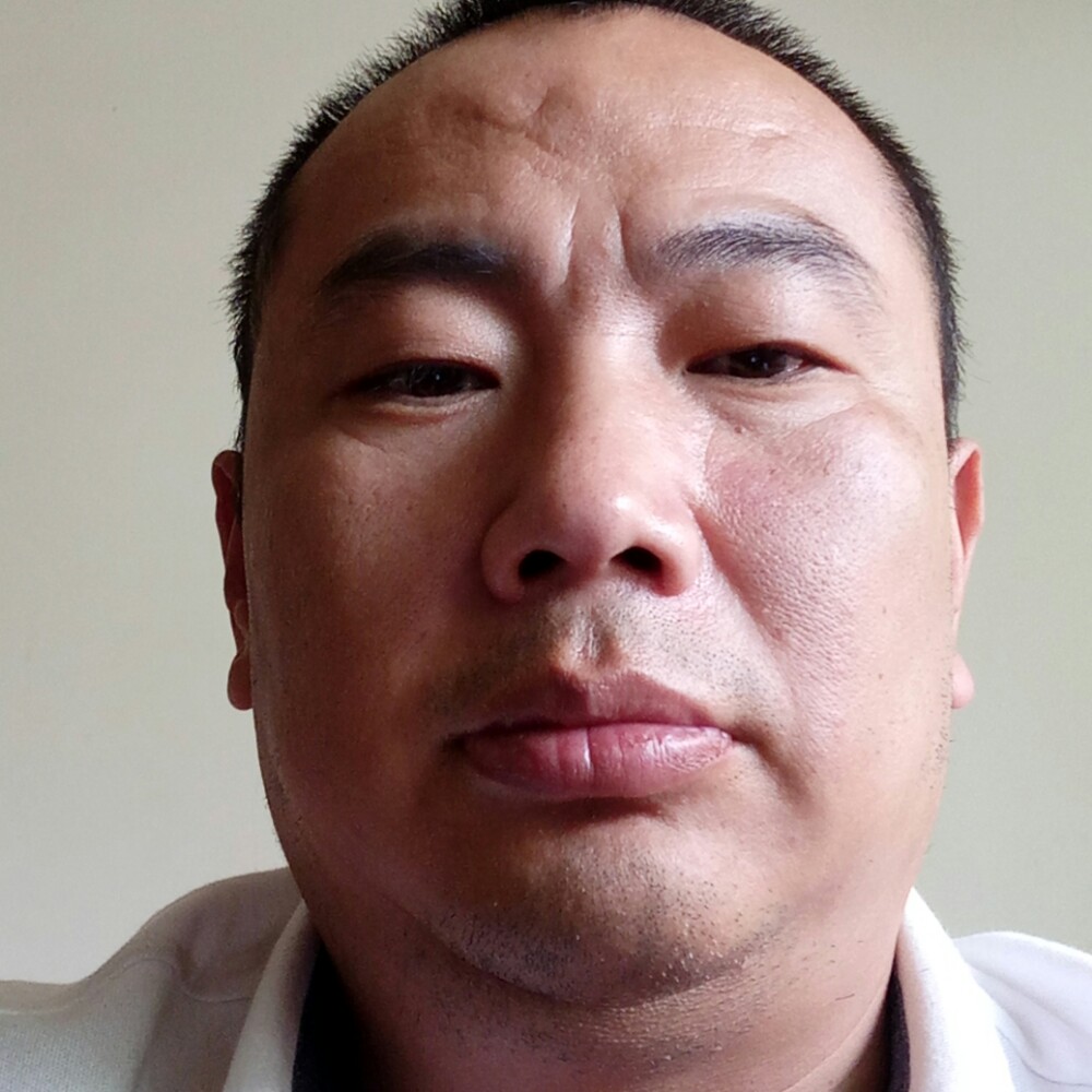 牛排放弃鳗鱼的照片