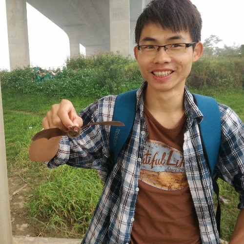 K2在这吗的照片