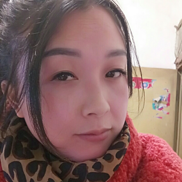 孤独相许黑猫的照片