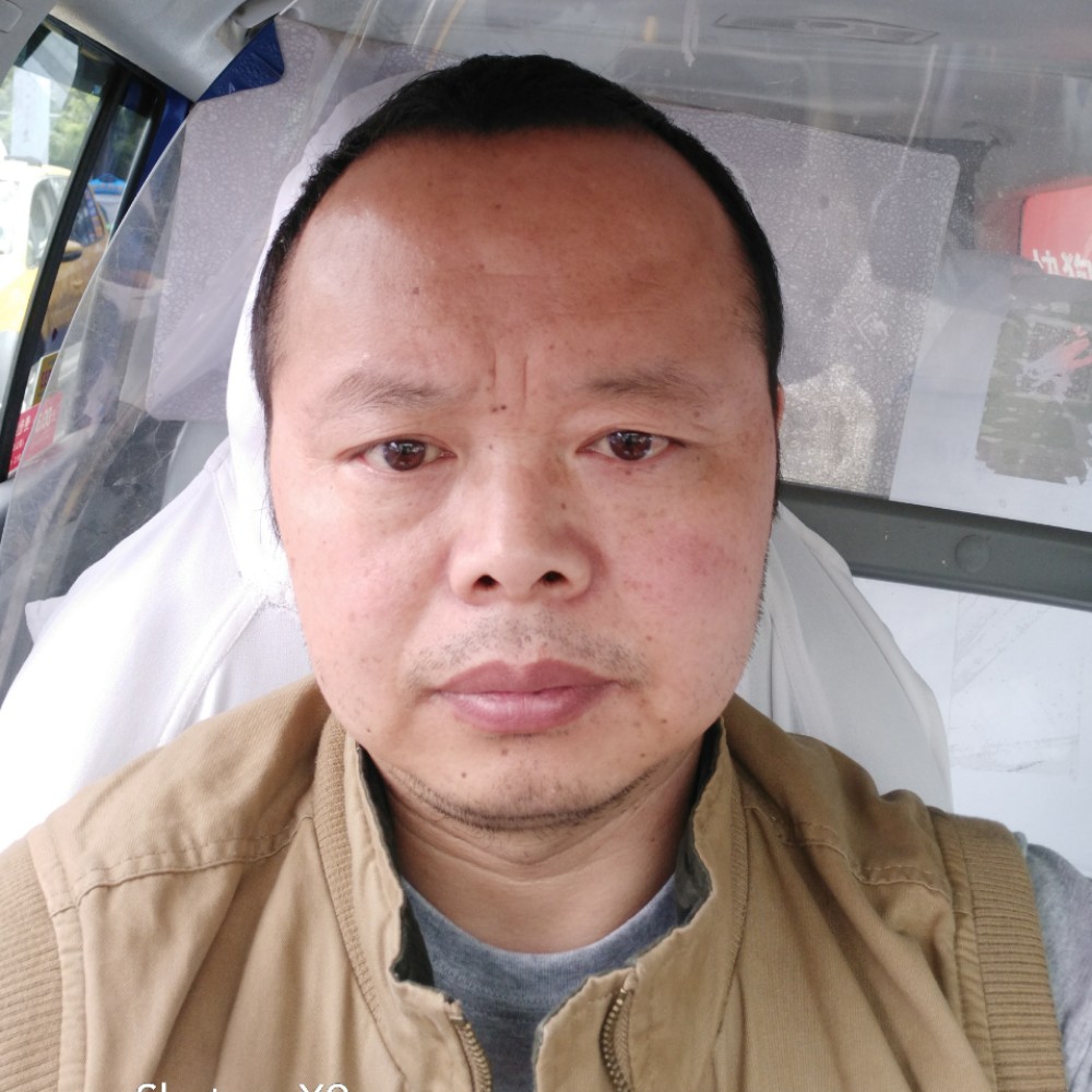 柠檬的结实的照片