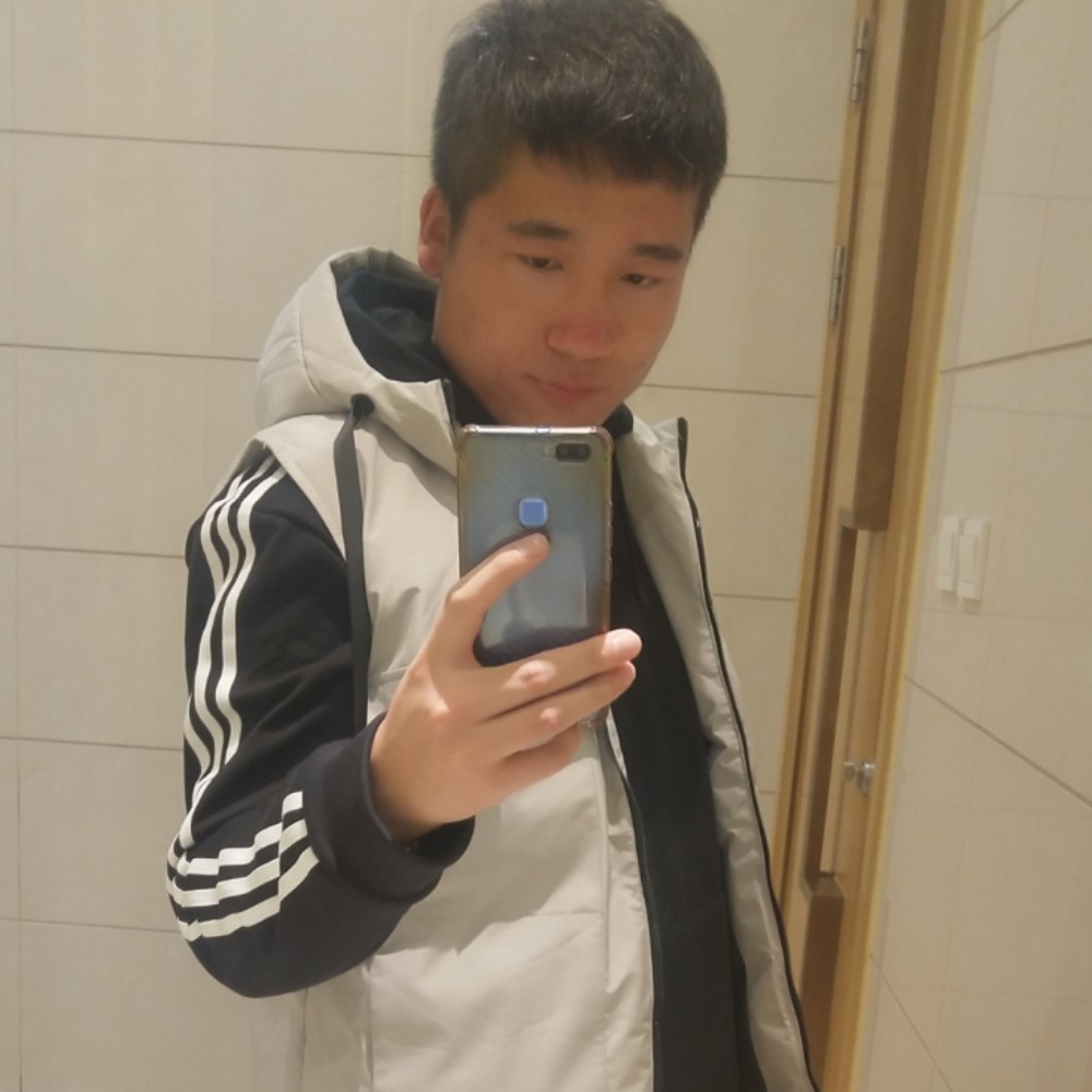 健壮蚂蚁的照片