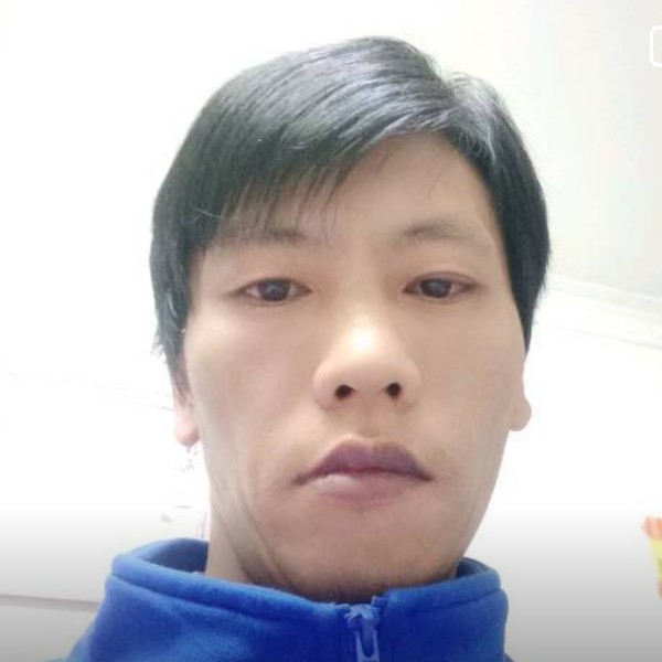 香菇迎碧的照片