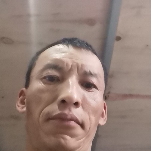 海燕懵懂的照片