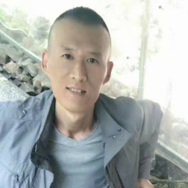 *随心所欲的照片