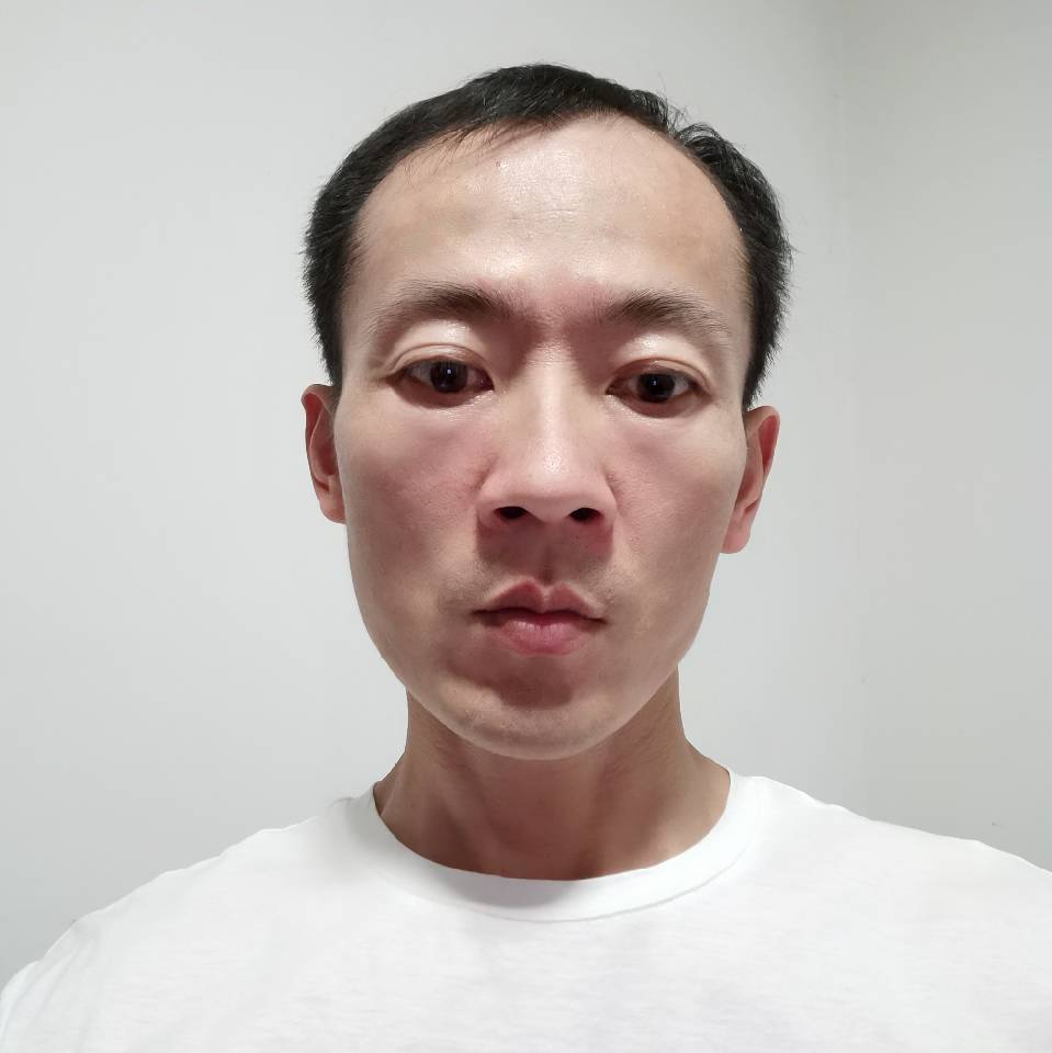 俭朴倾心大象的照片