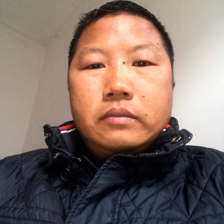 大树方满意的照片