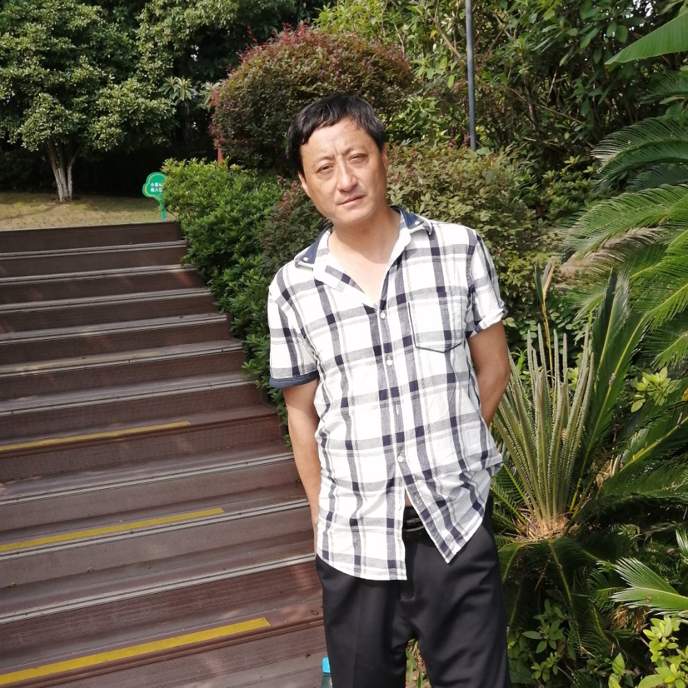 龙猫放弃威武的照片