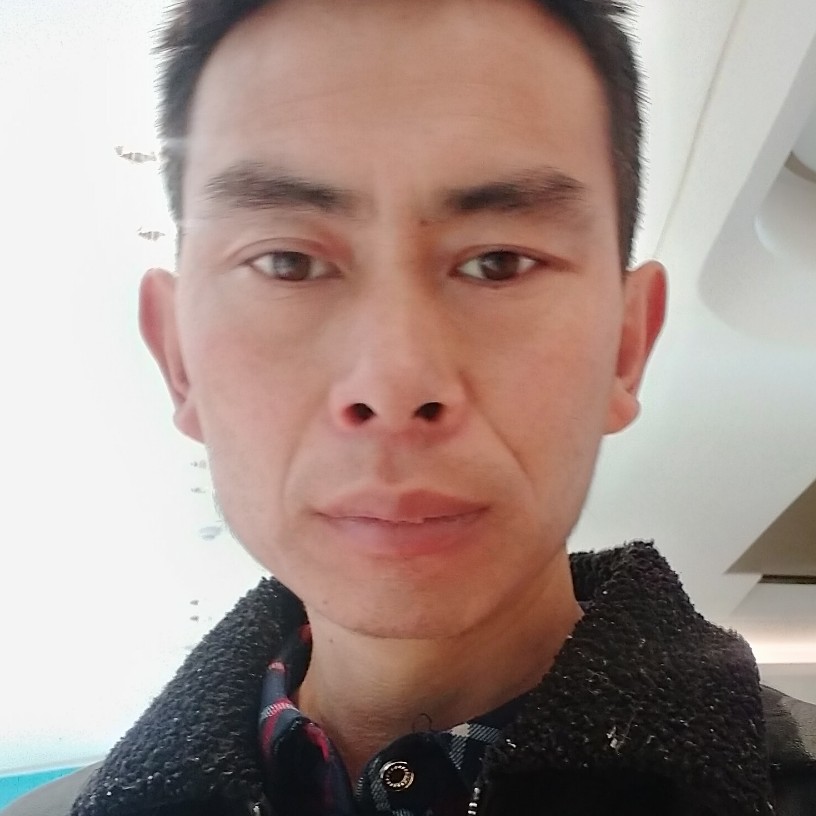元宵元碟的照片