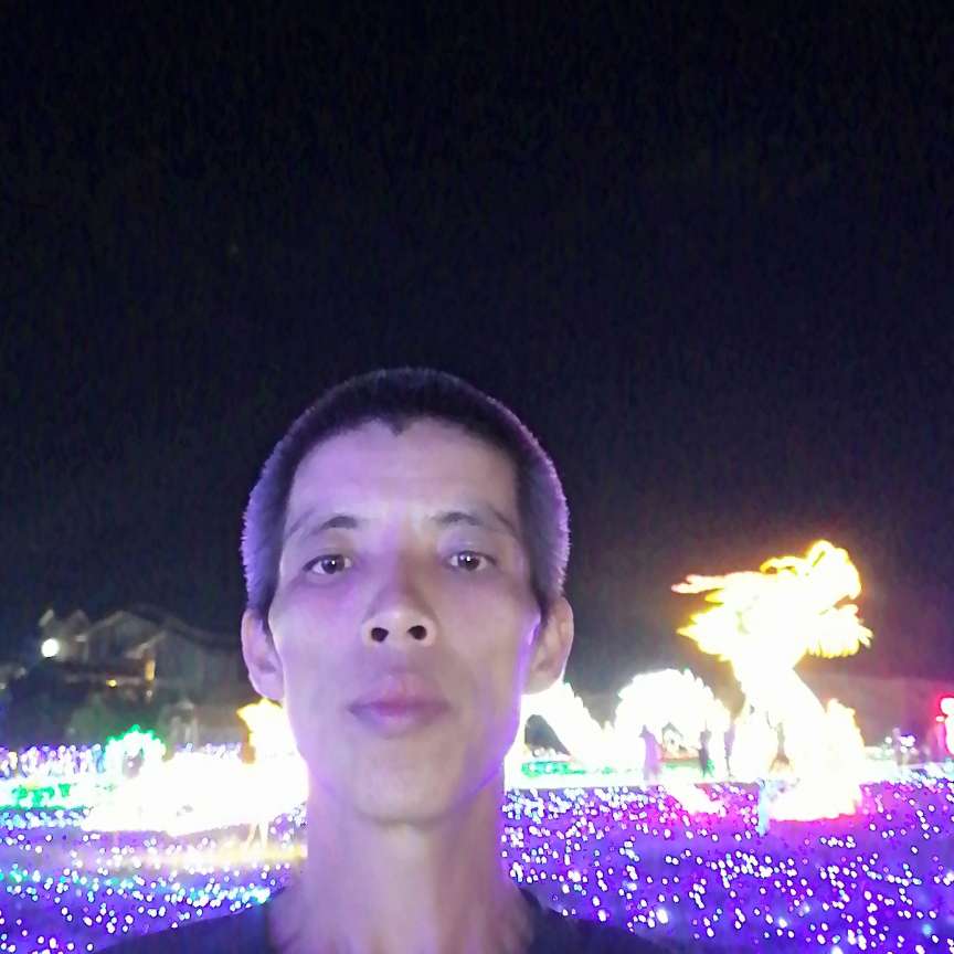 路灯等于机灵的照片