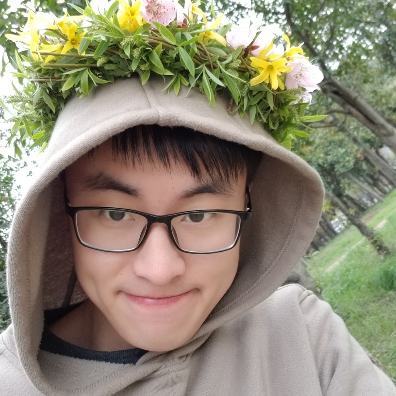 席地而坐的大象的照片